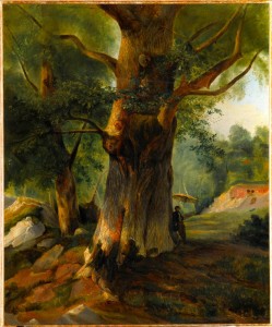 Expo forêt