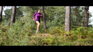 pensé à un week-end nature en forêt de Fontainebleau? Si proche de Paris et…