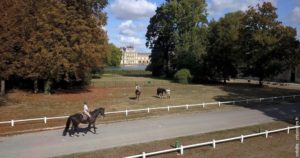 Photos from Fontainebleau Tourisme’s post