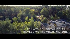 Destination Equestre d’Exception! Découvrez la richesse du Pays de Fontainebleau, un territoire où le…