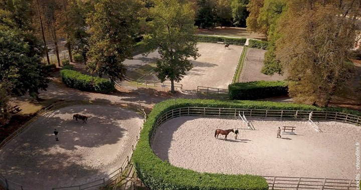 Vous avez été nombreux samedi dernier à découvrir l’Ecole Militaire d’Equitation, son histoire, ses…