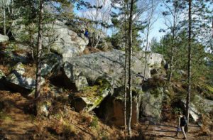 Éloge de la forêt de Fontainebleau par Enlarge your Paris! 22 000 hectares de…