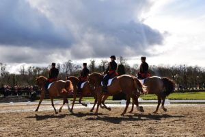 Retour en images sur un week-end marqué par l’excellence équestre à Fontainebleau, capitale du…