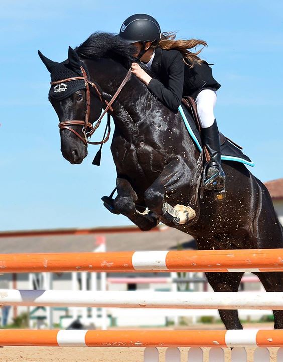 Destination Equestre d’Exception. C’est souvent à l’enfance que la passion pour les chevaux et…