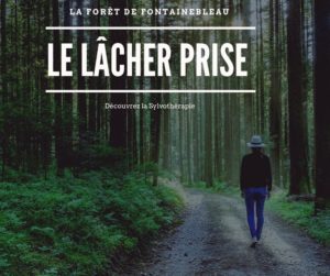 S’apaiser l’esprit vraiment, respirer à nouveau, le fameux lâcher prise ? Pas toujours sylvothérapie…