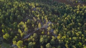 Ce soir, une plongée en forêt de Fontainebleau, à la rencontre de son histoire…