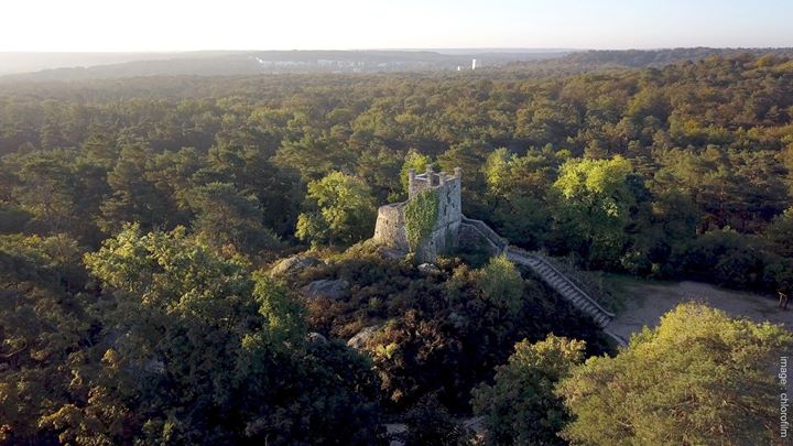 Un week-end pour de belles balades en forêt de Fontainebleau. Une variété de balades…