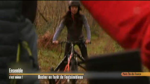 France 3, la forêt de Fontainebleau et ses chiens de traineau! Curieux de découvrir…