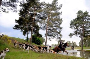 Nature et Vénérie, un grand évènement traditionnel au Grand Parquet ce week-end! Fontainebleau fut…