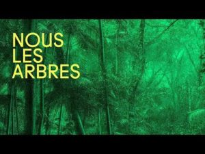 « Nous les Arbres ». Une exposition à la Fondation Cartier, Paris (14ème). Réunissant une communauté…