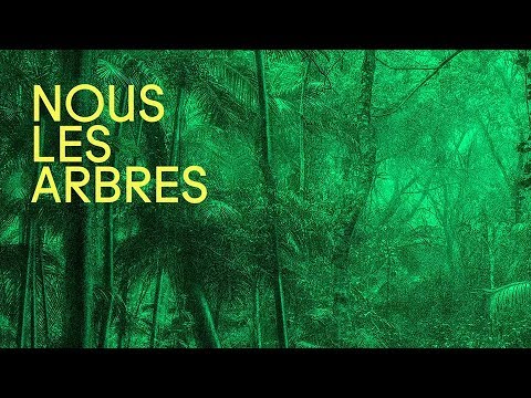 « Nous les Arbres ». Une exposition à la Fondation Cartier, Paris (14ème). Réunissant une communauté…