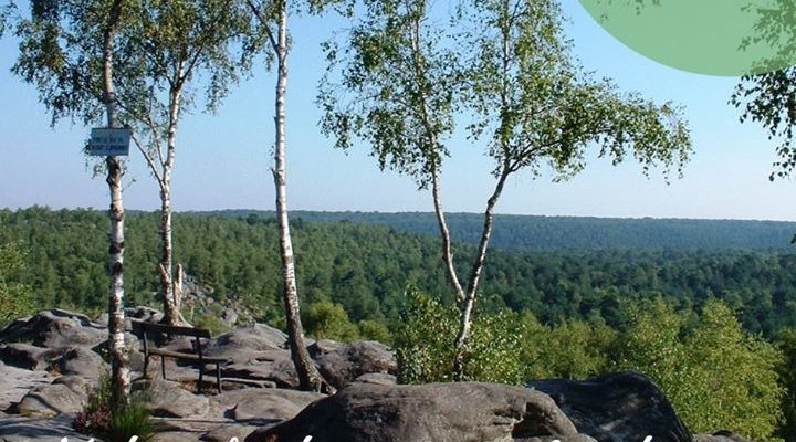Visite en forêt avec un guide nature Les 3 et 24 août, laissez-vous guider…