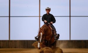 Destination Equestre d’Exception Août/Septembre. Bienvenue en Pays de Fontainebleau. 2 évènements majeurs ouverts au…