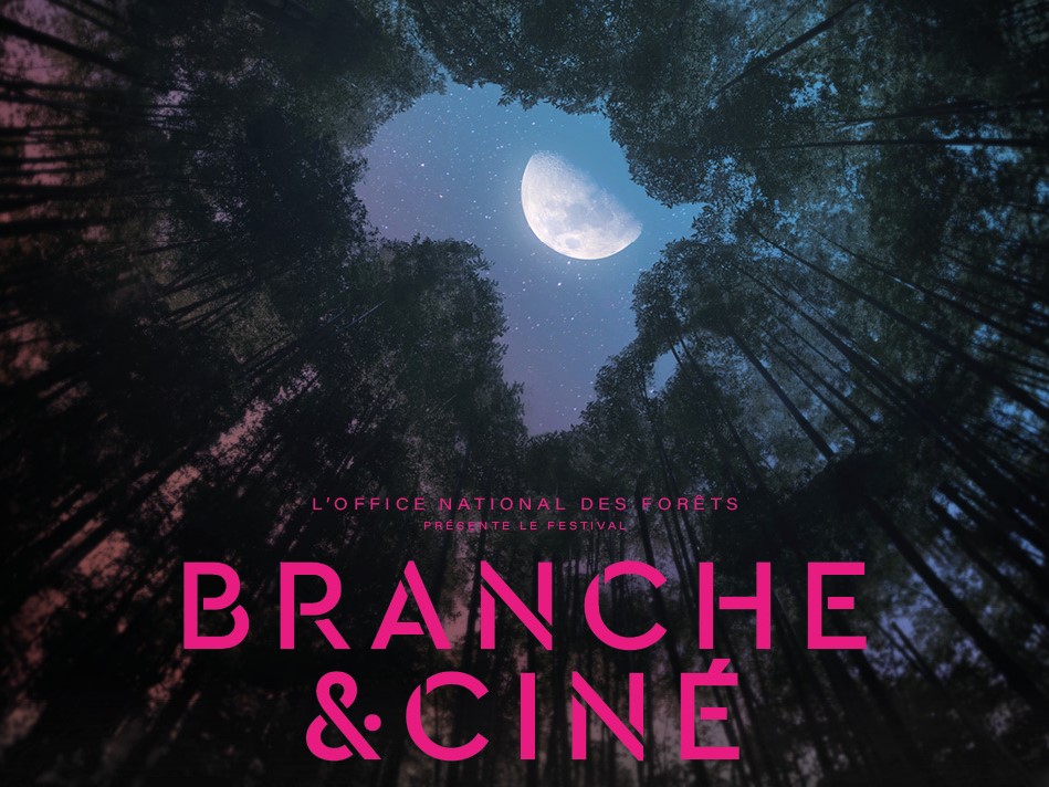 Branche et ciné