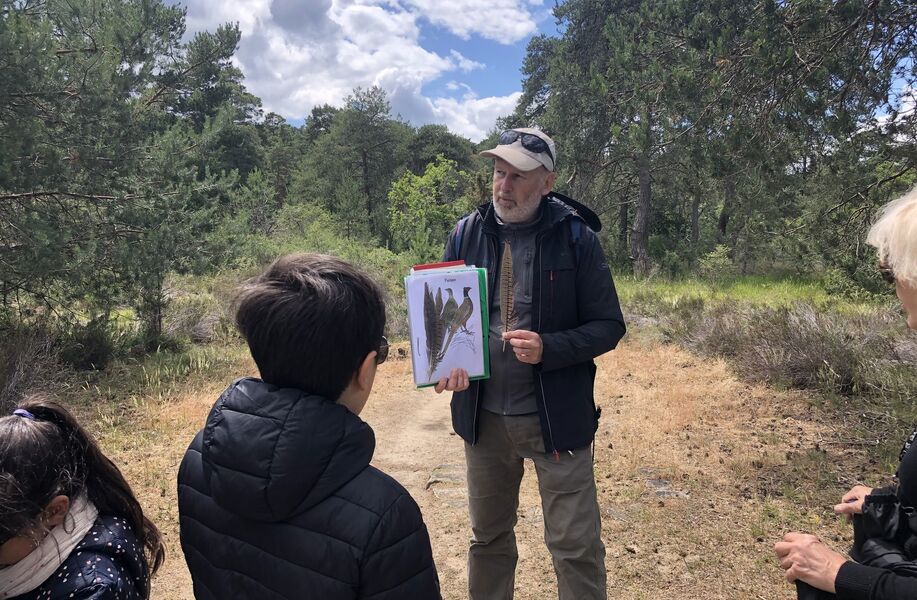 Visite guidée spéciale biodiversité en forêt