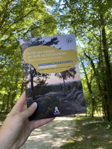 NOUVEAU – Guide des balades en forêt de Fontainebleau