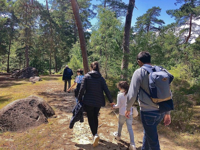 Visites guidées thématiques en forêt