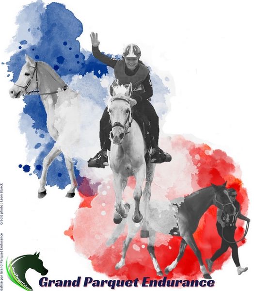 Concours d’Endurance International