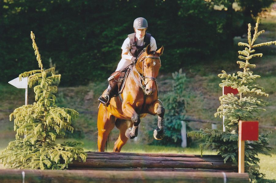 Concours de saut d’obstacles école militaire d’équitation