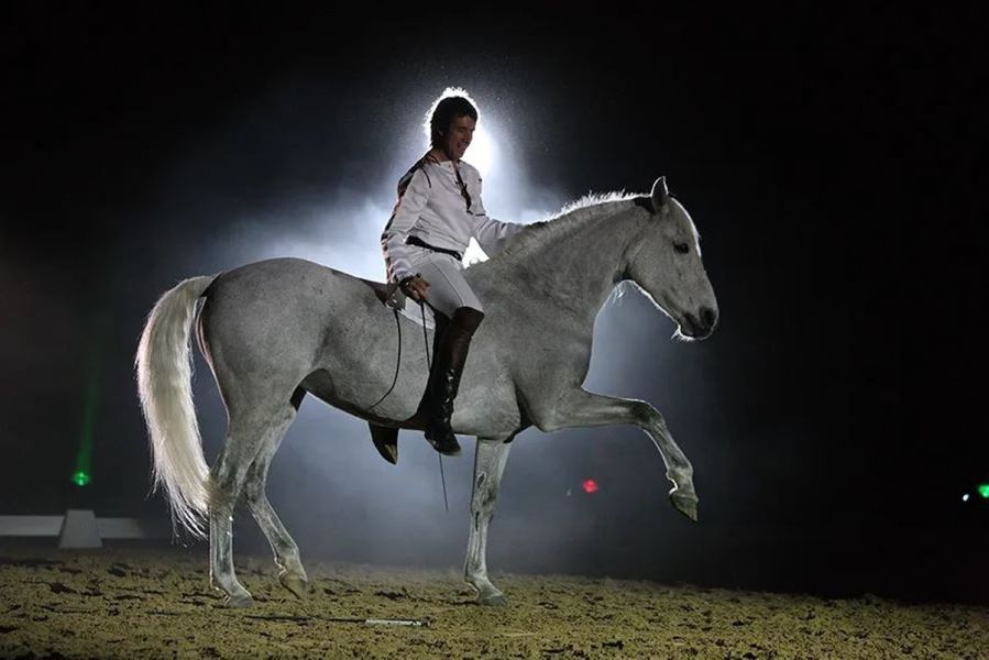 Spectacle équestre : chevaux en liberté de Jena-François Pignon