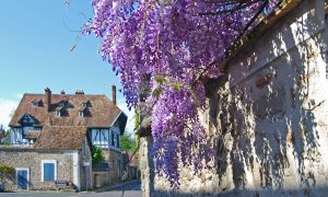 Le printemps / été au Pays de Fontainebleau